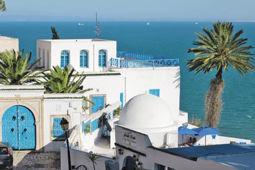 Отдых в Тунисе: лучшие отели по отзывам туристов