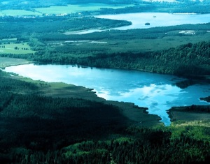 Махово озеро в Чехии