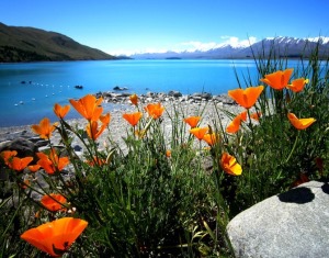 Озера Новой Зеландии